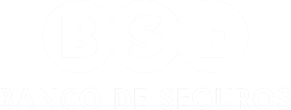 Banco-de-Seguros-1.png