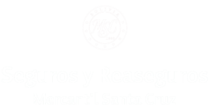 Mercantil-santa-cruz-1.png