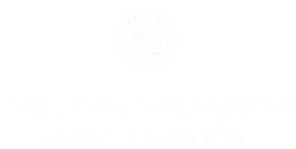 Mercantil-santa-cruz-1.png